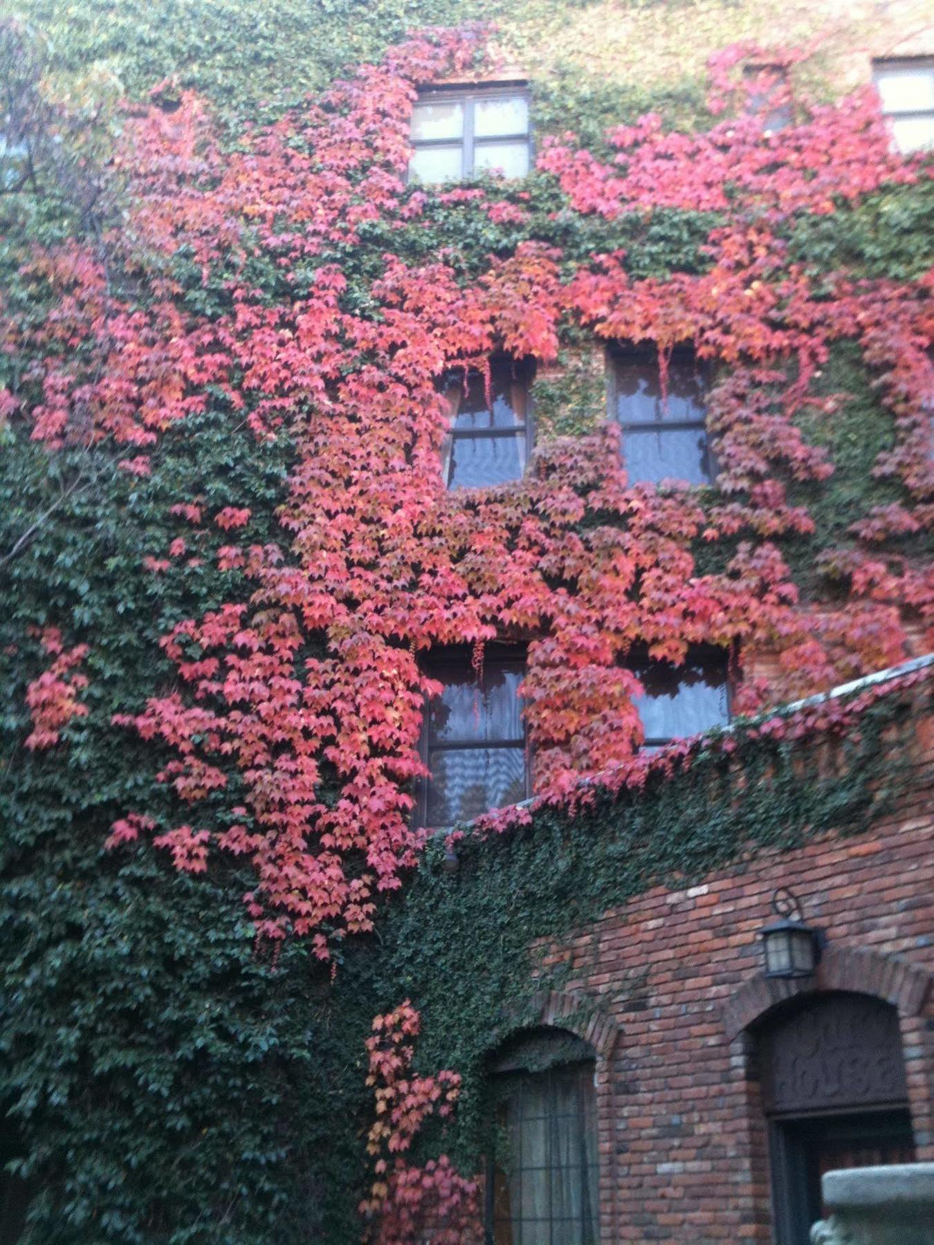Historic Cary House Hotel Placerville Esterno foto